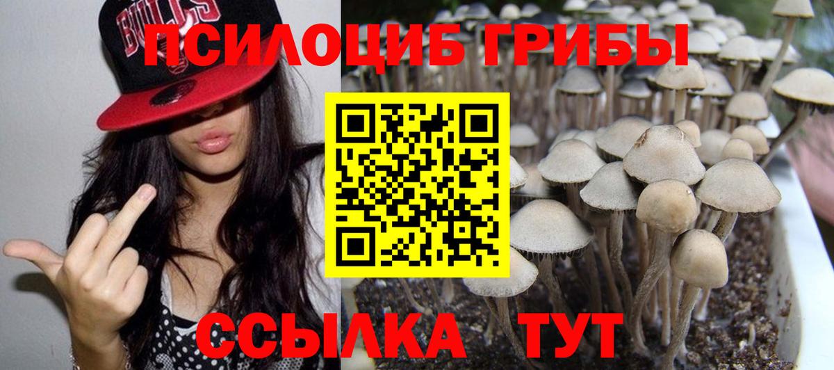 Псилоцибиновые грибы ЛСД Амурск