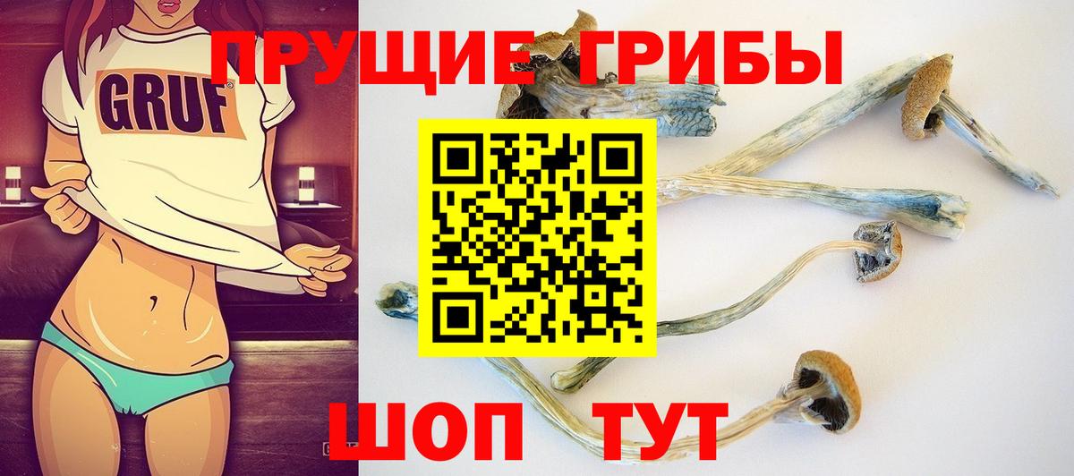 Галлюциногенные грибы MAGIC MUSHROOMS  Вход с VPN  Амурск  Галлюциногенные грибы Psilocybine cubensis 